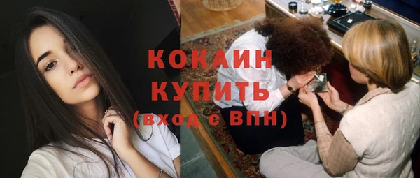 твердый Тавда