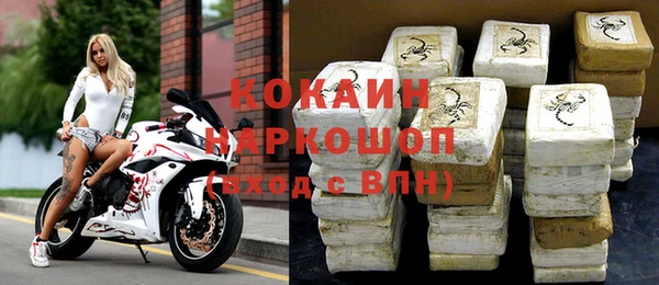 дживик Тайга