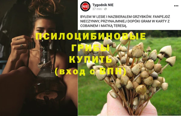 прущая мука Верхнеуральск